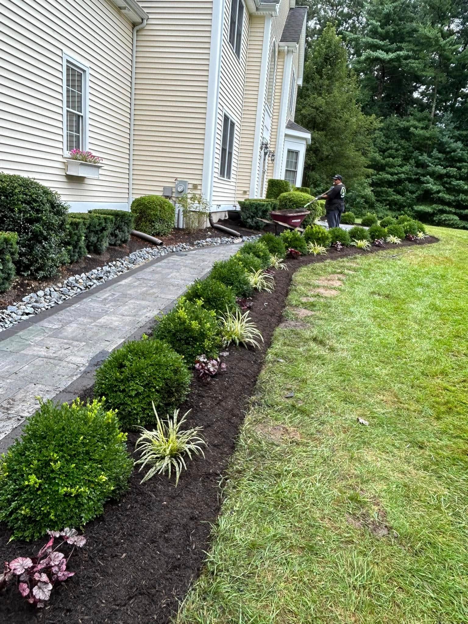 Kamaye crew member spreading mulch along a newly planted foundation bed beside a finished paver walk